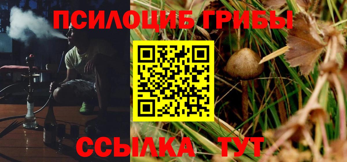 Галлюциногенные грибы MAGIC MUSHROOMS  Псилоцибиновые грибы прущие грибы  Вход с VPN  Североморск 